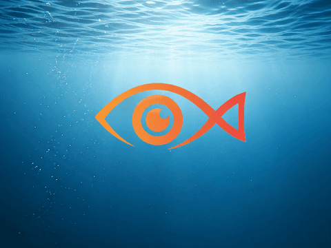 fish-in-water