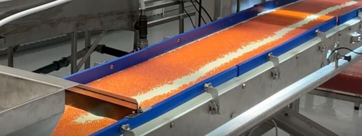 ova-on-conveyor