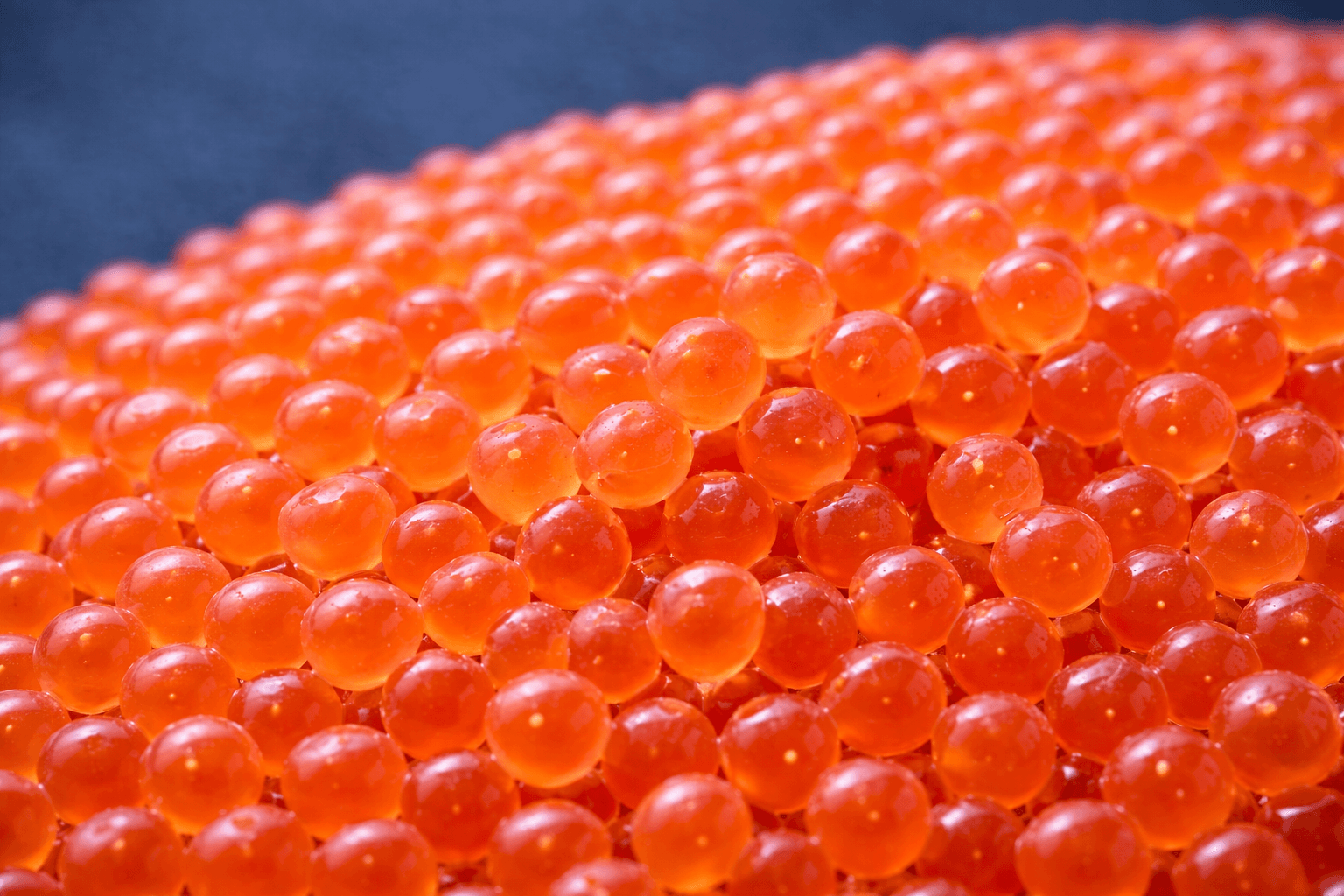 salmon-ova-closeup