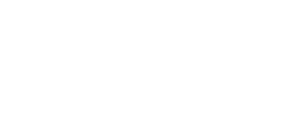 V&Iacute;SK logo