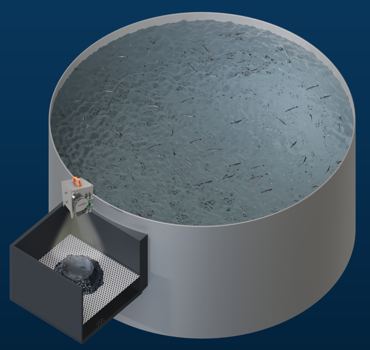 Tank and effluent area showing where RationFeed measures pellets